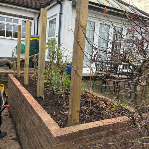 untitled design (23)