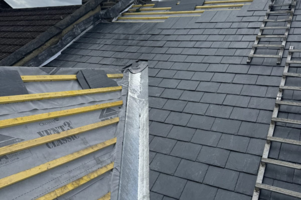 untitled design (27)