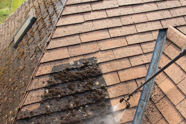 untitled design (33)